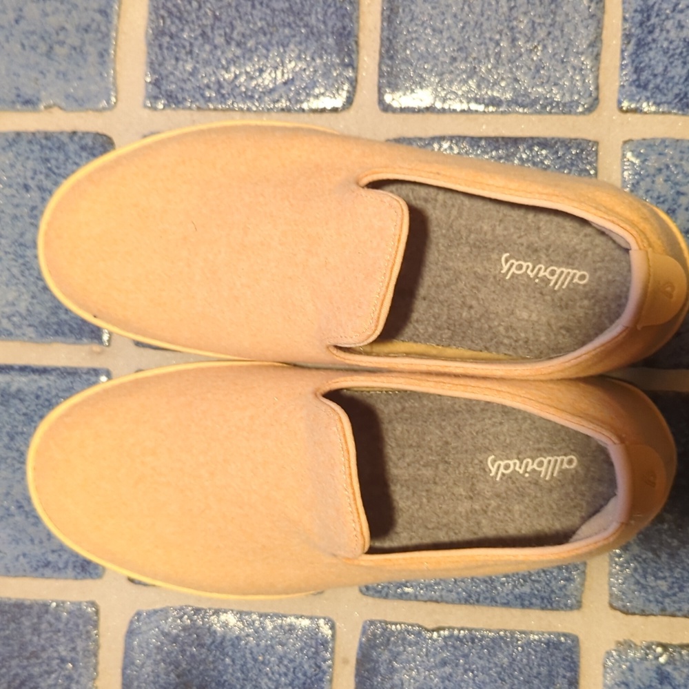 Cozy allbirds